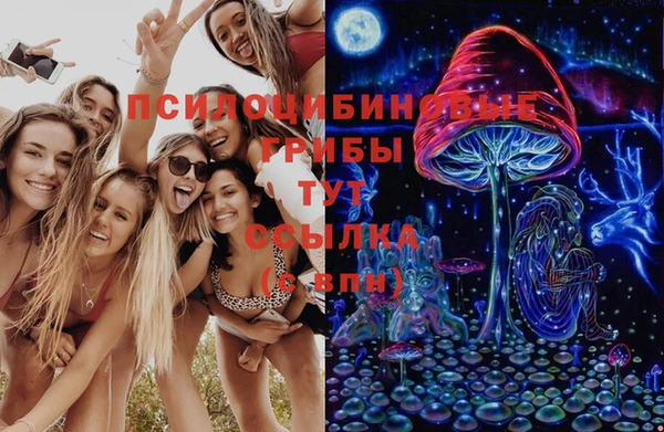 крисы Карталы